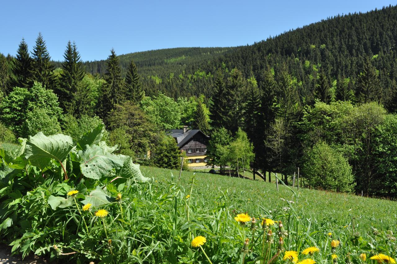 Penzion Medvedin Dolni Misecky Exterior photo